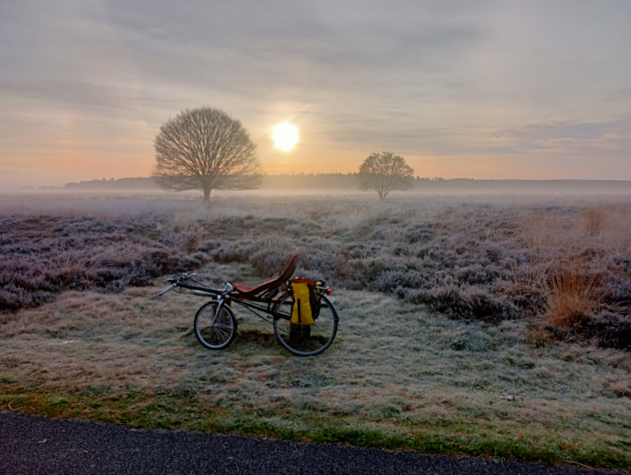 [Afbeelding: IMG20260427065704.jpg]