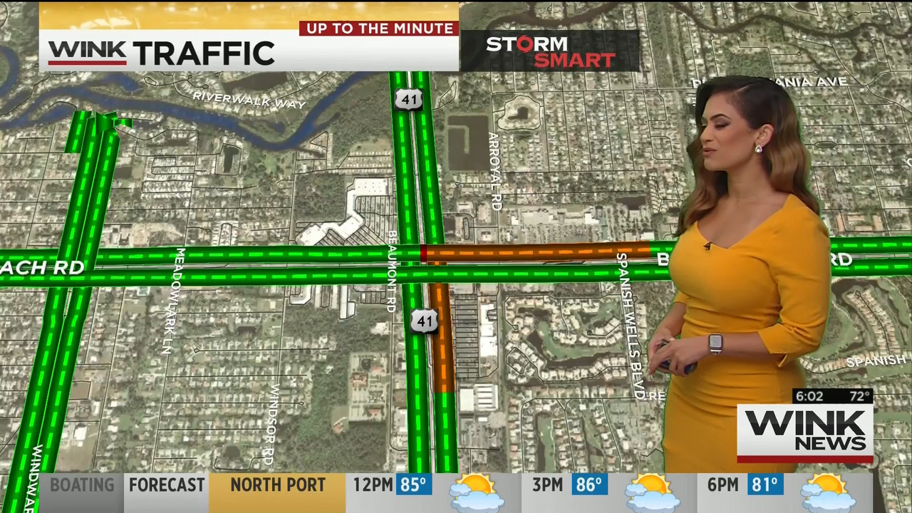 15 May - 11.00.00 - WINK News This Morning..ts_snapshot_03.38_[2020.05.15_23.34.05]