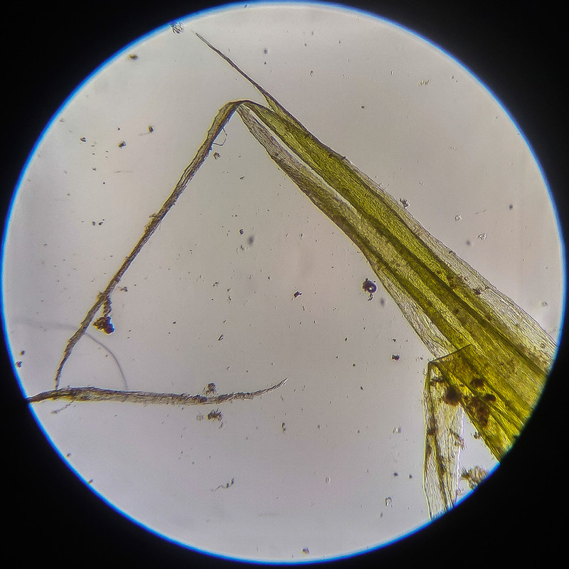 IMG 20250614 124141 HDR