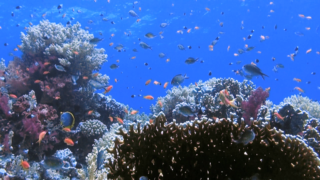 vlcsnap-2023-12-21-21h55m41s404