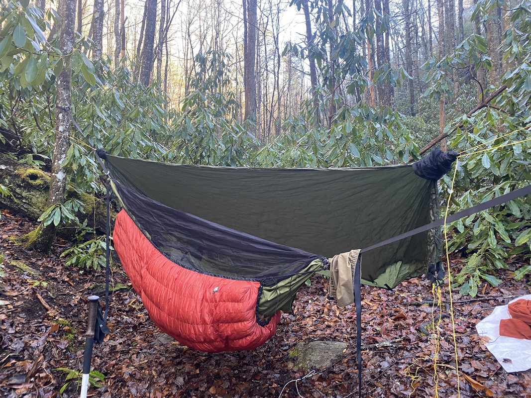 2B192466-65E8-4006-8C62-4ED231CF416E