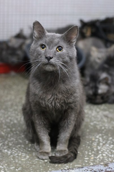 A134466D-93AA-4373-8CB4-F0BCD9EFA4BA