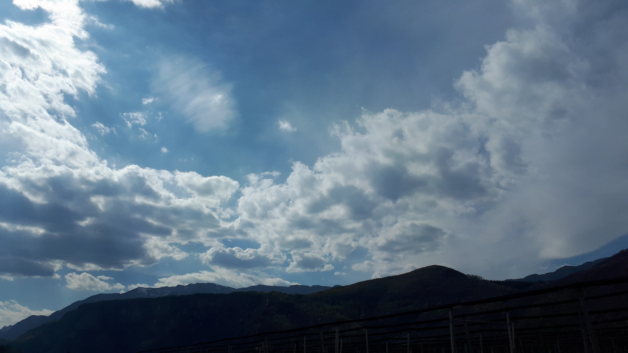 20190325_134947