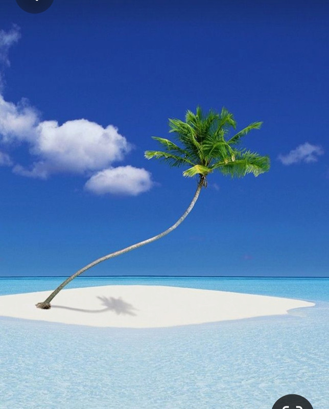 Screenshot_20230611_215632_Pinterest