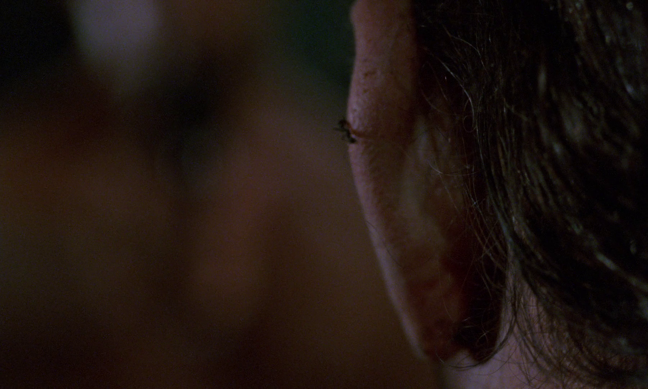 vlcsnap-2024-01-22-19h00m47s678