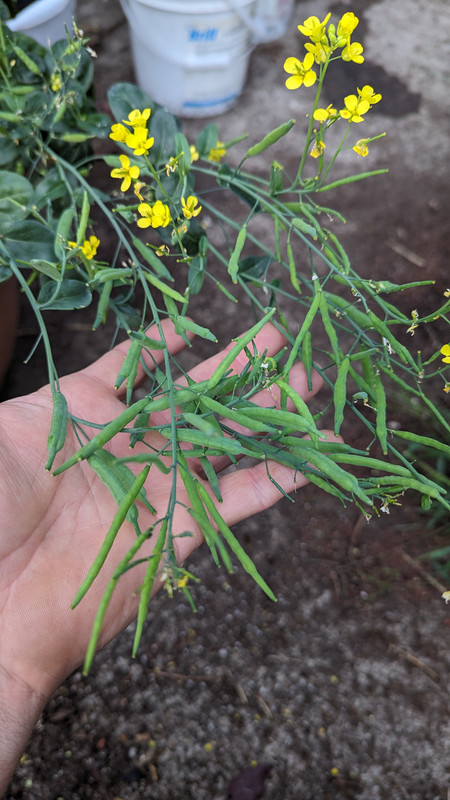 PXL_20230903_152332633