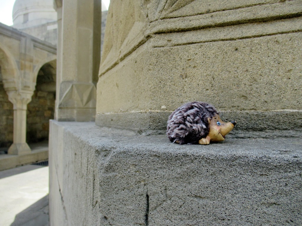 https://i.postimg.cc/Yqdc84NN/IMG-3526.jpg