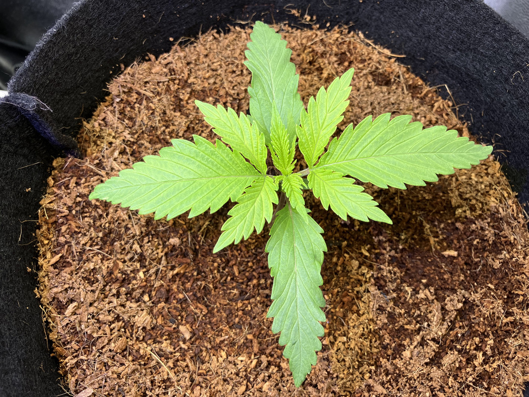 fIMG_1251(marzo 24 2023)