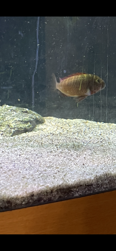 29E62E09-FF7F-4958-804E-EEC5CCE0D6BE