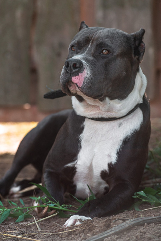 WhatsApp Image 2022-08-14 at 18.05.26 (4)