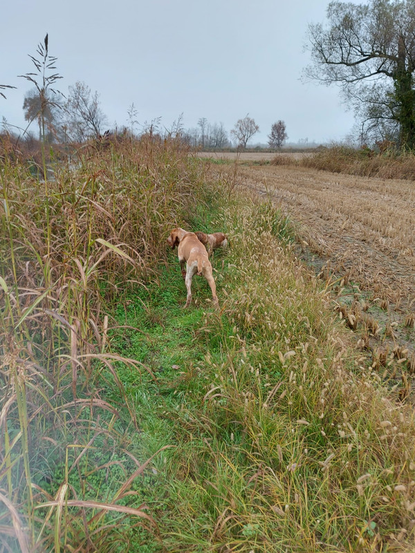 5D5235FA-9AC5-40A6-8EF6-0C39ABA463B1