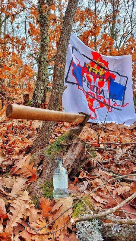 [Слика: IMG-7de33f3cb61b2b32e51f4e3bc007eb14-V.jpg]