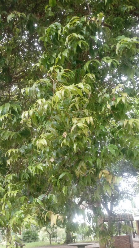 WhatsApp Image 2020-12-20 at 00.58.58 (4)