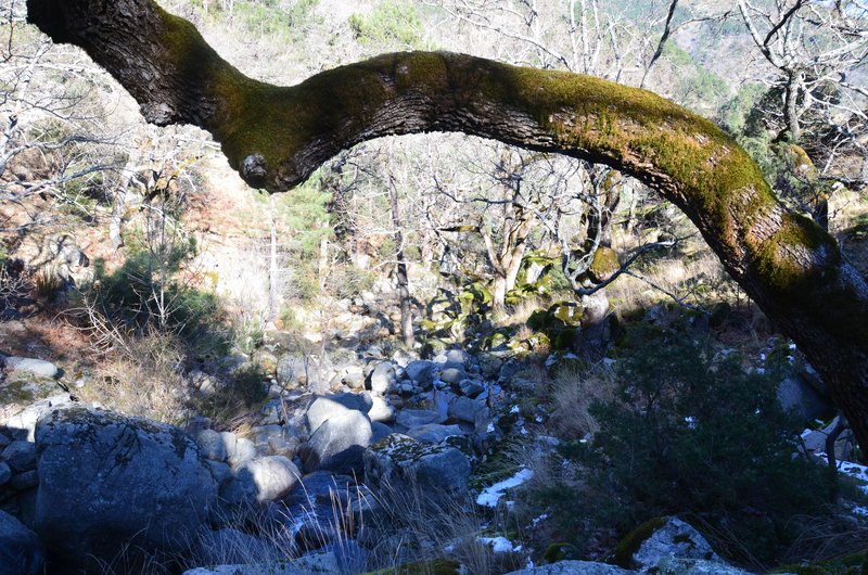 RUTA EMBALSE DEL HORCAJO Y GARGANTAS DEL VALLE DEL TIETAR-20-2-2016-AVILA - Paseando por España-1991/2016 (65)