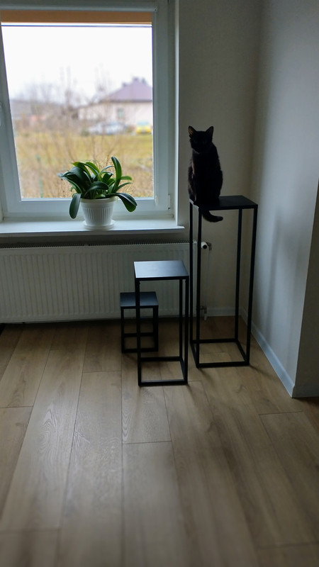 IMG 20260326 060626122 HDR 2