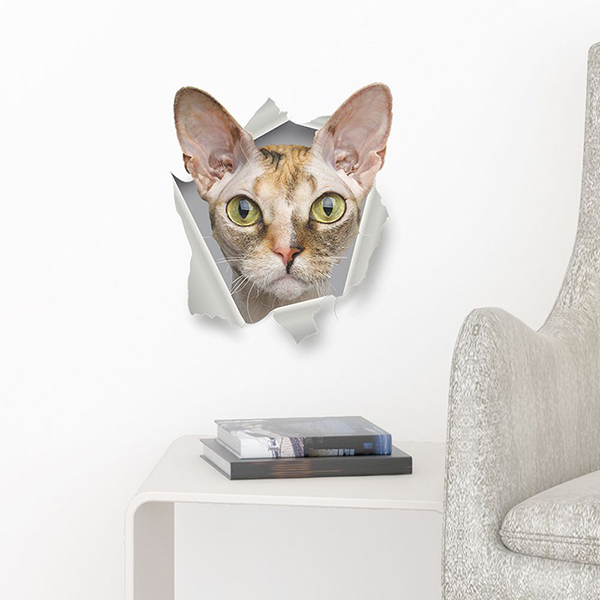 Sphinx Hairless Cat Printed /& Die Cut Decal Window Bumper Sticker Car Sphynx