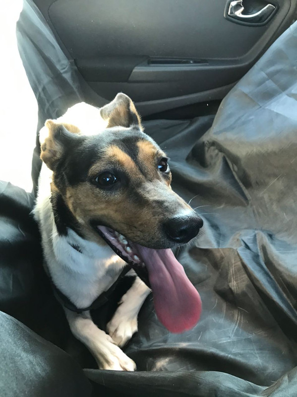 D7218C0F-FC2E-4AE9-800A-31981EC9B7AF