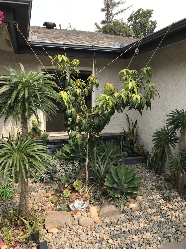 284DB55D-614B-4EC8-B992-FF637B9A3CA9