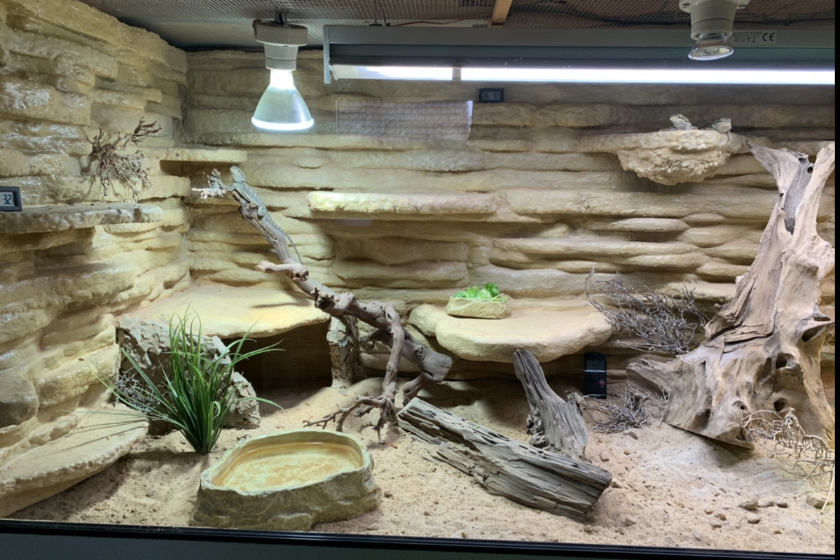 E2C79CD3-298C-48EC-9C5E-F634E896D2B5