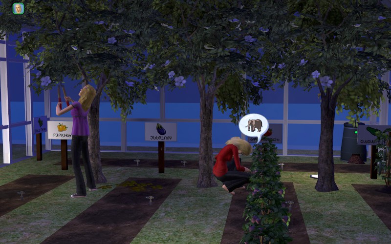 Lakewood-round5-340-800x500