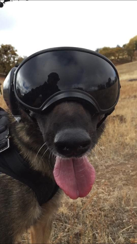 U.S. Coast Guard Maritime Safety & Security Team6