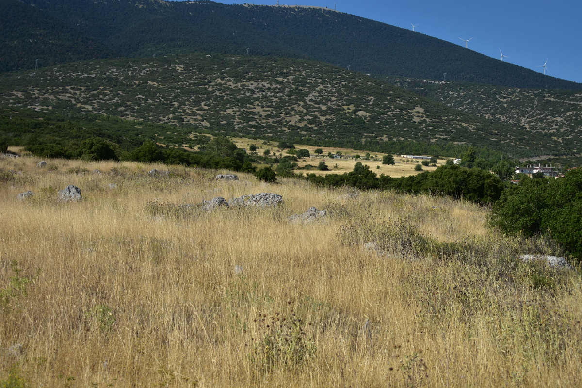 Αρχαίες Πλαταιές (18)
