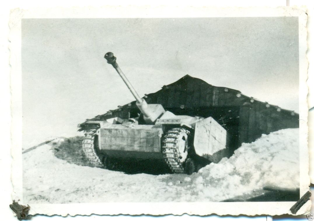 STURMGESCHÜTZ - LANGROHR   SEITENSCHUTZ - WINTER