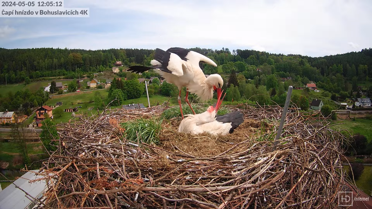 Tiešraidē no uzņēmuma KARA stārķa skursteņa Bohuslavicē pie Trutnovas 13-30-56 screenshot