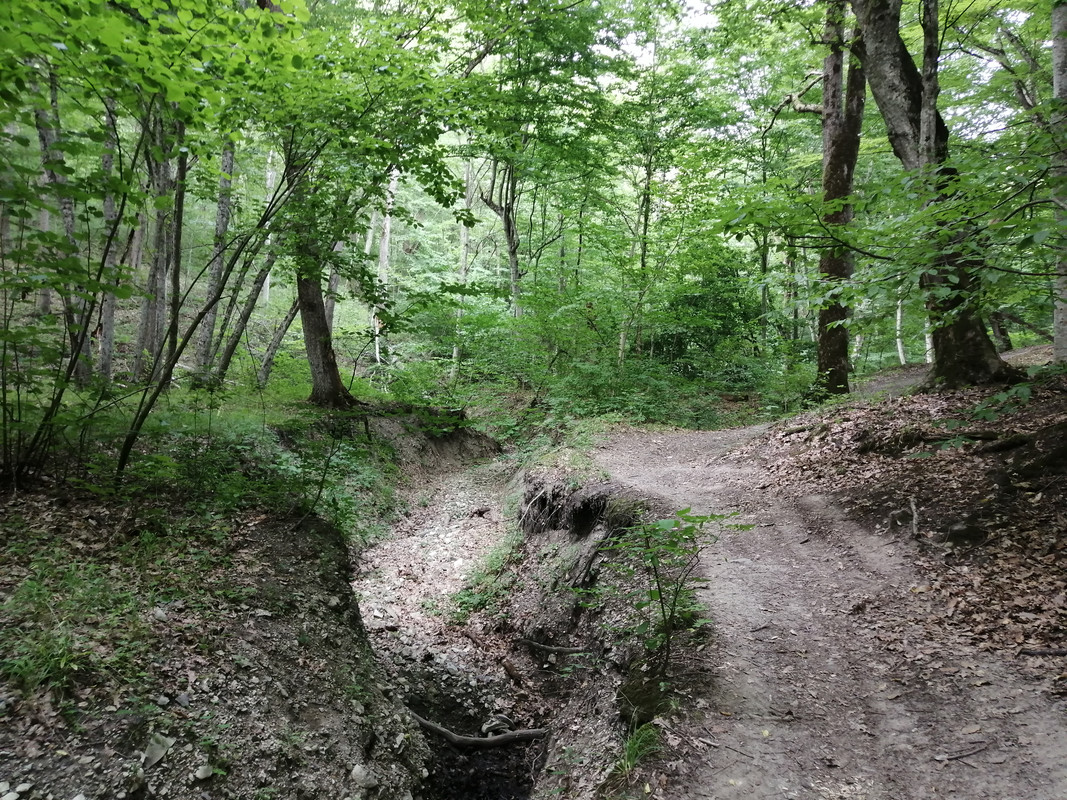 IMG_20200707_171759
