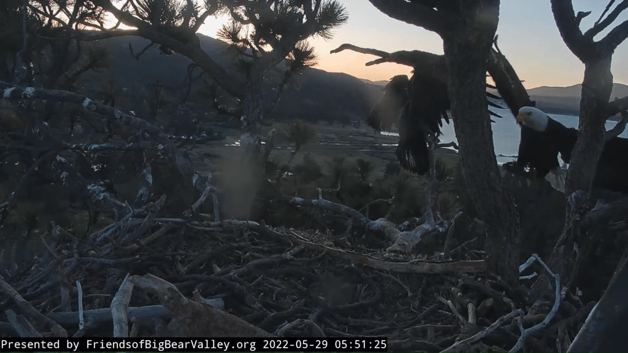 Webp.net-gifmaker (2)