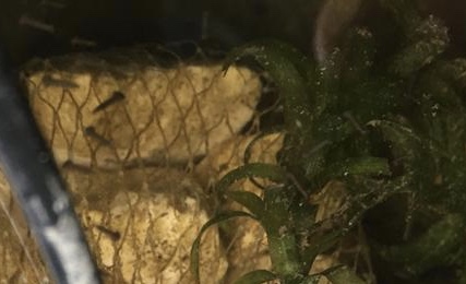 F0C52869-2E74-4659-8A42-3D57CB4A0690