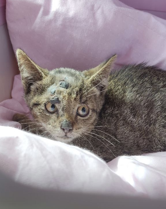 506B94DB-8939-4BF1-8401-78F29464119F