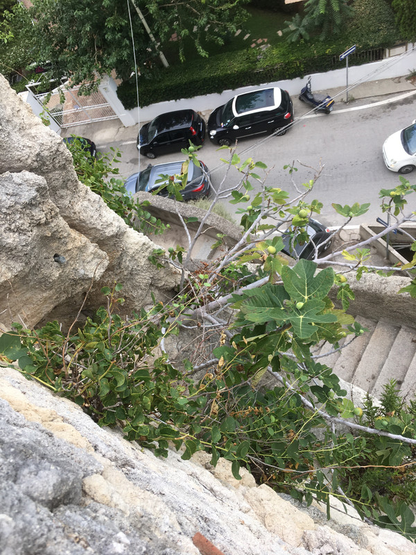 57A6F350-8832-4706-83B7-B8A1ED574566