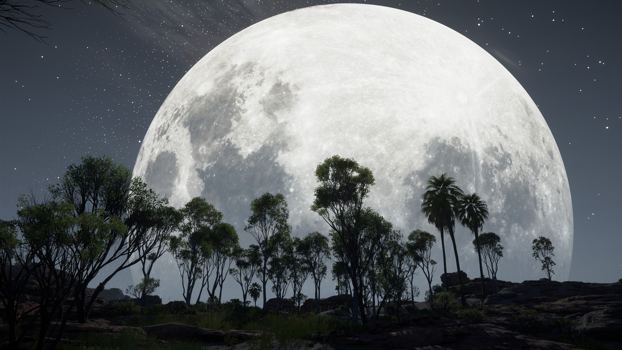 DS2 2026 04 04 20 58 05 382