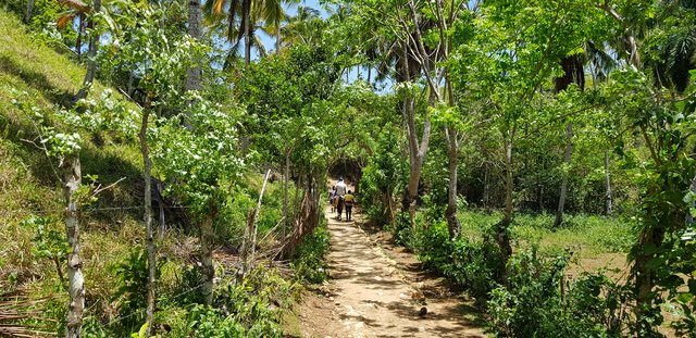 DIA 4 - EXCURSION A SAMANA, CASCADA DEL LIMON E ISLA BACARDI - Hotel Grand Sirenis Punta Cana + Samana + Cortecito (56)