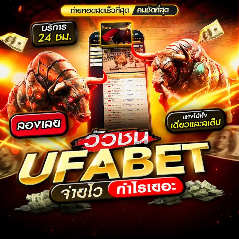 วัวชน UFABET Live