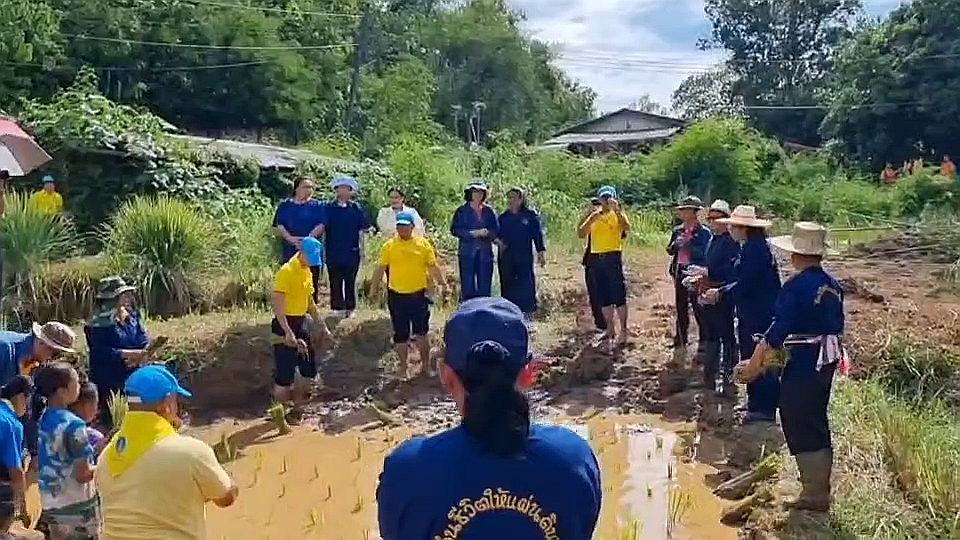 vlcsnap-2025-08-26-15h20m47s821