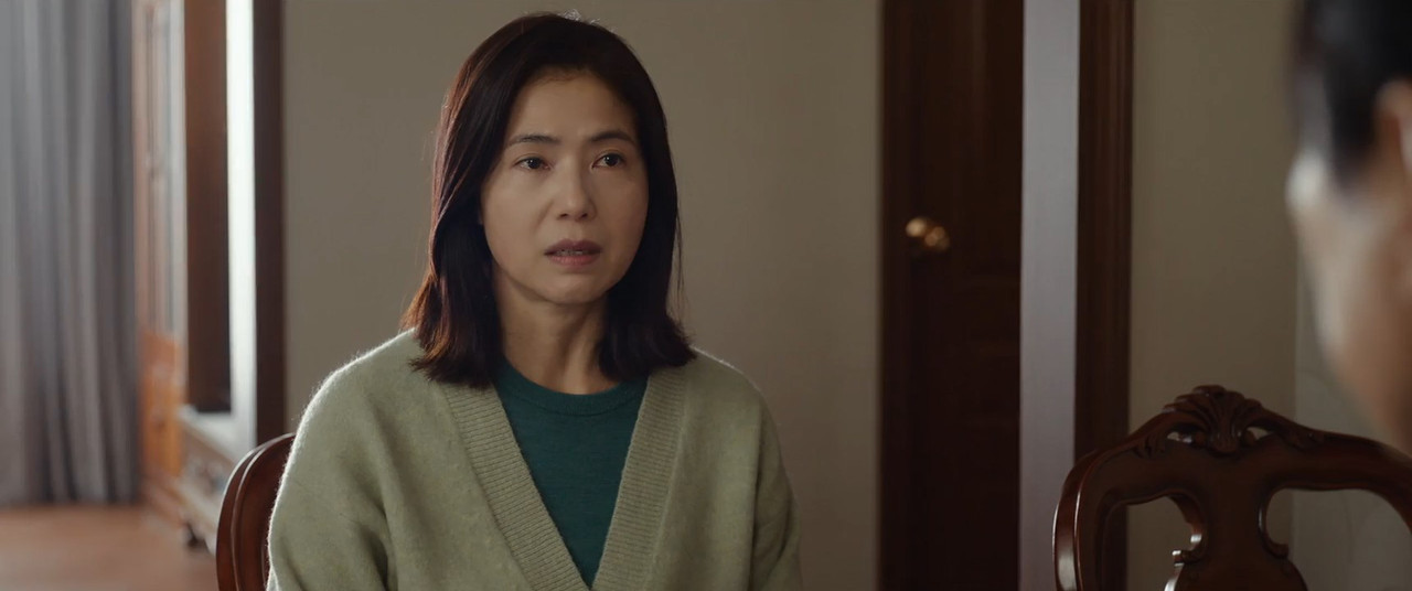 The Divorce Insurance (2025) Season 1 [Hindi + English] WebRip 480p, 720p ESub - Complete Screenshot