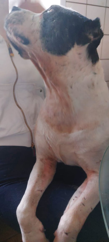 1CB7C567-F8BE-470D-A45B-17804A30A632