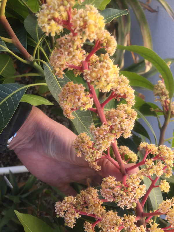 43CD4189-DB6D-45B2-BF36-7AF2442E4191