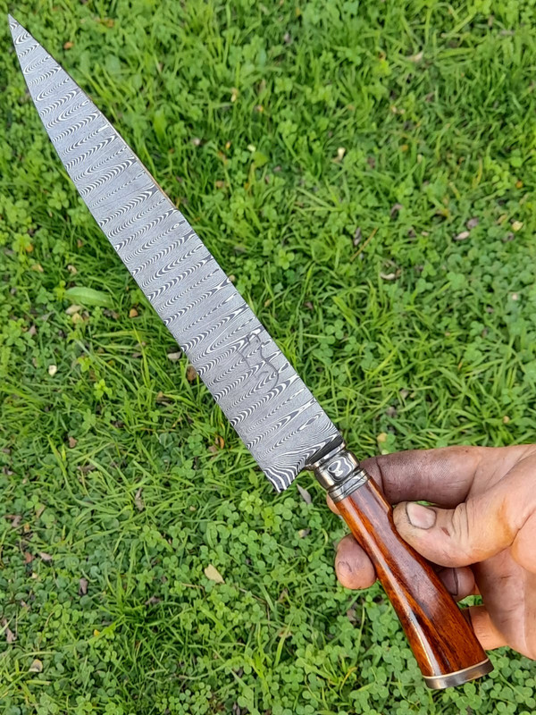 WhatsApp Image 2022-04-18 at 5.31.18 PM (1)