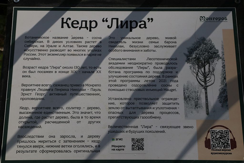 https://i.postimg.cc/Yqjw3yBC/IMG-2499.jpg