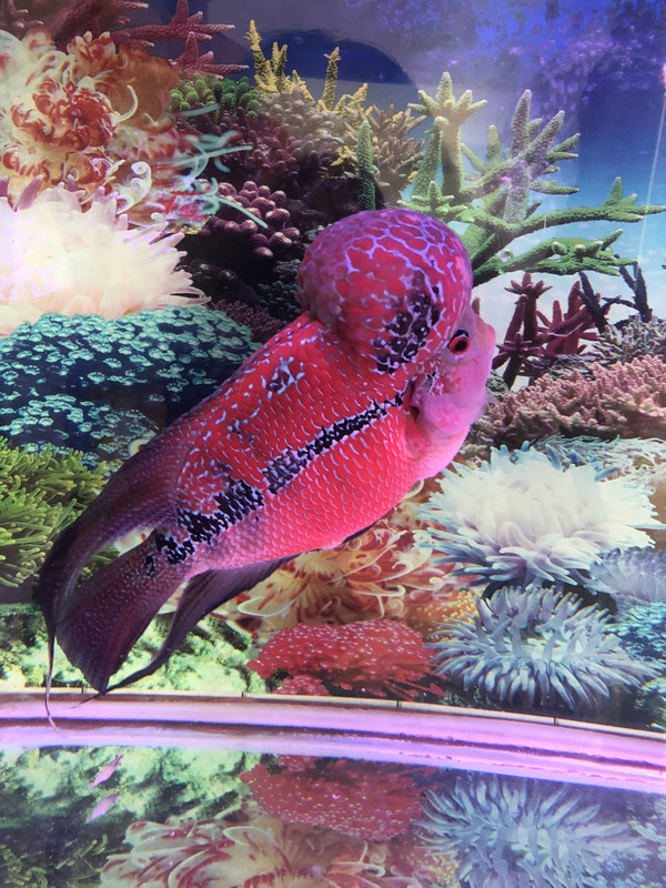 A8ACA732-DF17-48D2-BC34-A08D16295914