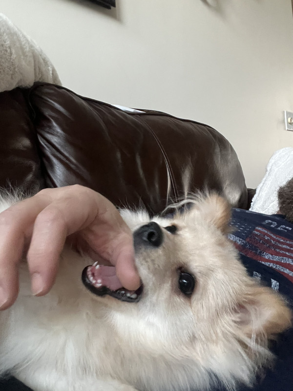 FD755EB1-4801-4886-A7C1-962E91D0732A