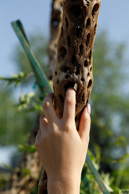 full_045_1411321514518109