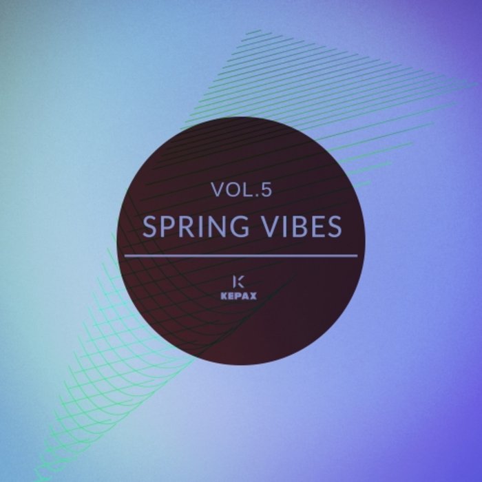 Spring Vibes Vol 5 (2020) mp3 320 Kbps