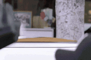 IMG-0068.gif