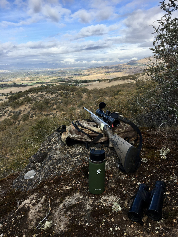 Blacktail stand