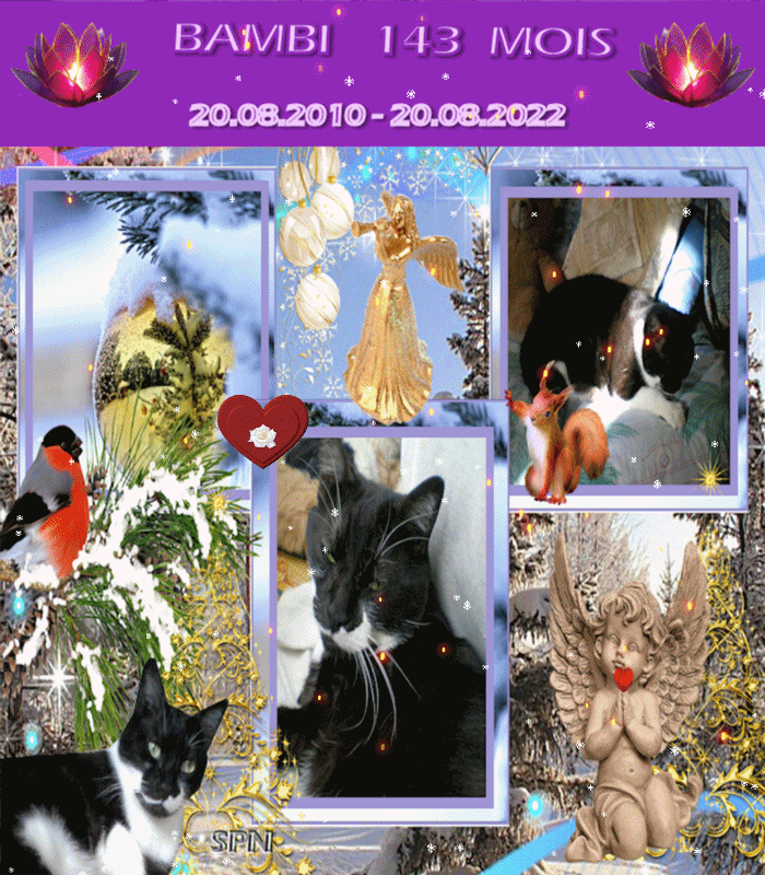bambi-4143-mois-gif