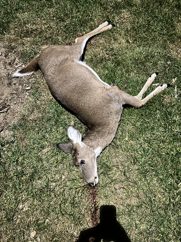 372E1F9C-D06D-48A3-BE1A-1F5CA22D7040